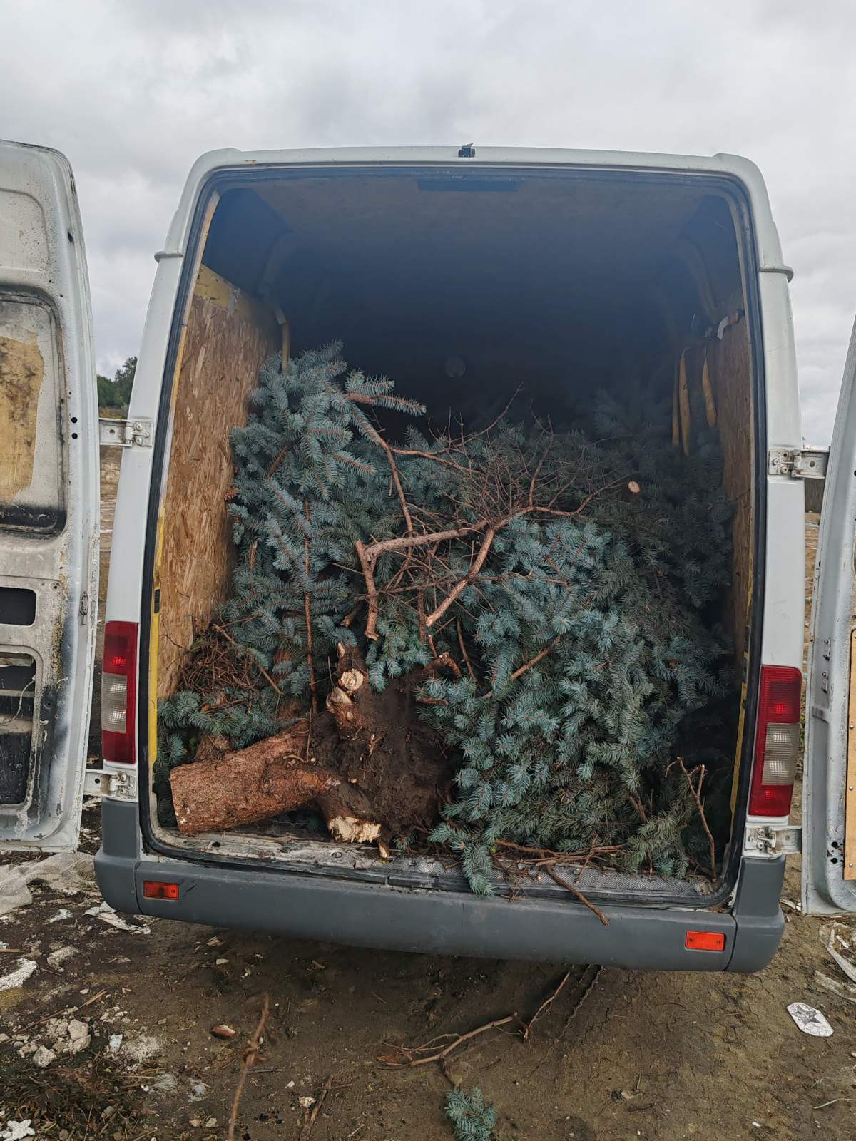 0-02-05-0da49332fb7d3ff9ec6413e0bab9e9d157c6c2a21411cea8015399ace7ba21d4_c3047afa96a10d46