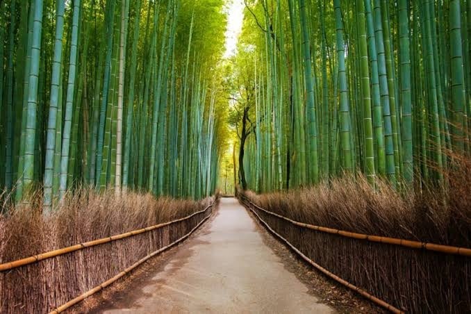 kyoto-bamboo-duftstabchen-125-250-ml